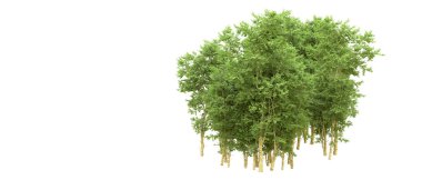 Yeşil orman ıssız. Afişler ve afişler için kullanışlı. 3d oluşturma.