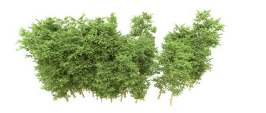 Yeşil orman ıssız. Afişler ve afişler için kullanışlı. 3d oluşturma.