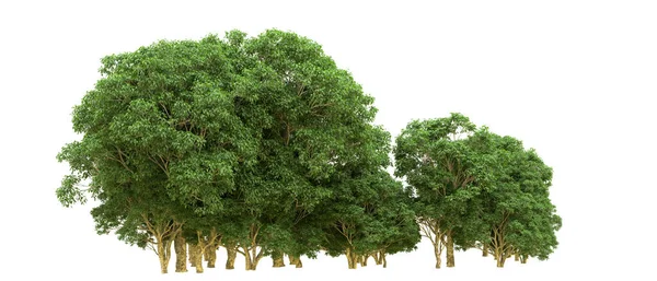 Yeşil orman ıssız. Afişler ve afişler için kullanışlı. 3d oluşturma.