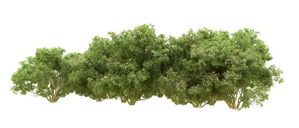 Yeşil orman ıssız. Afişler ve afişler için kullanışlı. 3d oluşturma.