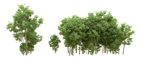 Yeşil orman ıssız. Afişler ve afişler için kullanışlı. 3d oluşturma.