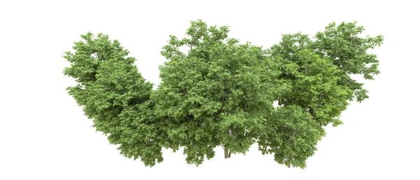 Yeşil orman ıssız. Afişler ve afişler için kullanışlı. 3d oluşturma.