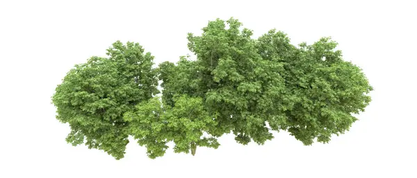 Yeşil orman ıssız. Afişler ve afişler için kullanışlı. 3d oluşturma.