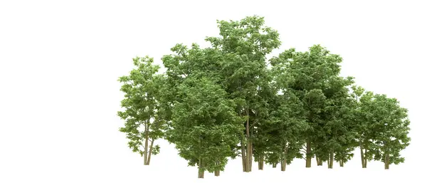 Yeşil orman ıssız. Afişler ve afişler için kullanışlı. 3d oluşturma.