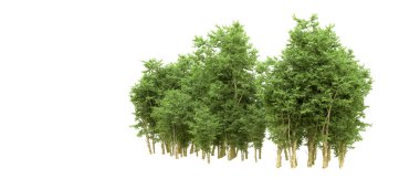 Yeşil orman ıssız. Afişler ve afişler için kullanışlı. 3d oluşturma.