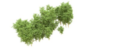 Yeşil orman ıssız. Afişler ve afişler için kullanışlı. 3d oluşturma.