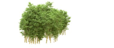 Yeşil orman ıssız. Afişler ve afişler için kullanışlı. 3d oluşturma.