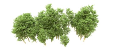 Yeşil orman ıssız. Afişler ve afişler için kullanışlı. 3d oluşturma.