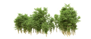 Yeşil orman ıssız. Afişler ve afişler için kullanışlı. 3d oluşturma.