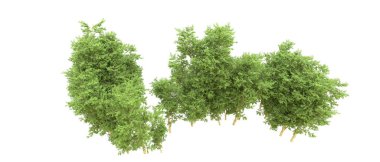 Yeşil orman ıssız. Afişler ve afişler için kullanışlı. 3d oluşturma.