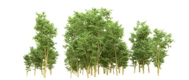 Yeşil orman ıssız. Afişler ve afişler için kullanışlı. 3d oluşturma.