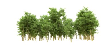 Yeşil orman ıssız. Afişler ve afişler için kullanışlı. 3d oluşturma.