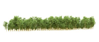 Yeşil orman ıssız. Afişler ve afişler için kullanışlı. 3d oluşturma.