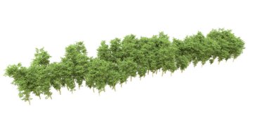 Yeşil orman ıssız. Afişler ve afişler için kullanışlı. 3d oluşturma.