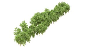 Yeşil orman ıssız. Afişler ve afişler için kullanışlı. 3d oluşturma.