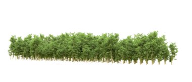 Yeşil orman ıssız. Afişler ve afişler için kullanışlı. 3d oluşturma.