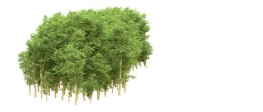 Yeşil orman ıssız. Afişler ve afişler için kullanışlı. 3d oluşturma.