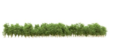 Yeşil orman ıssız. Afişler ve afişler için kullanışlı. 3d oluşturma.