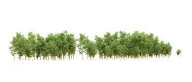 Yeşil orman ıssız. Afişler ve afişler için kullanışlı. 3d oluşturma.