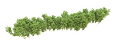 Yeşil orman ıssız. Afişler ve afişler için kullanışlı. 3d oluşturma.