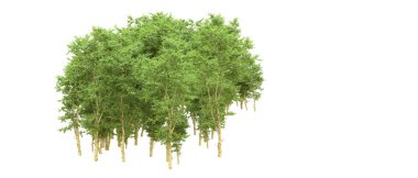 Yeşil orman ıssız. Afişler ve afişler için kullanışlı. 3d oluşturma.