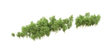 Yeşil orman ıssız. Afişler ve afişler için kullanışlı. 3d oluşturma.