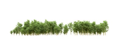 Yeşil orman ıssız. Afişler ve afişler için kullanışlı. 3d oluşturma.