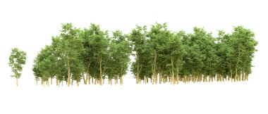 Yeşil orman ıssız. Afişler ve afişler için kullanışlı. 3d oluşturma.