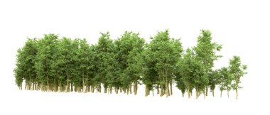 Yeşil orman ıssız. Afişler ve afişler için kullanışlı. 3d oluşturma.