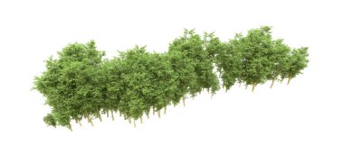 Yeşil orman ıssız. Afişler ve afişler için kullanışlı. 3d oluşturma.