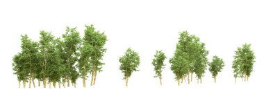 Yeşil orman ıssız. Afişler ve afişler için kullanışlı. 3d oluşturma.