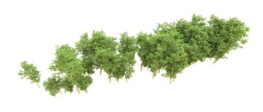 Yeşil orman ıssız. Afişler ve afişler için kullanışlı. 3d oluşturma.