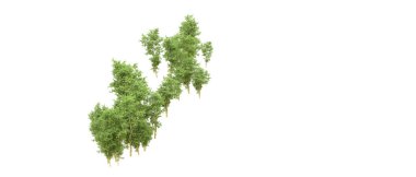 Yeşil orman ıssız. Afişler ve afişler için kullanışlı. 3d oluşturma.