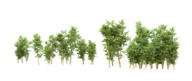 Yeşil orman ıssız. Afişler ve afişler için kullanışlı. 3d oluşturma.