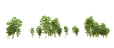 Yeşil orman ıssız. Afişler ve afişler için kullanışlı. 3d oluşturma.