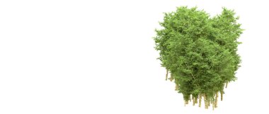 Yeşil orman ıssız. Afişler ve afişler için kullanışlı. 3d oluşturma.