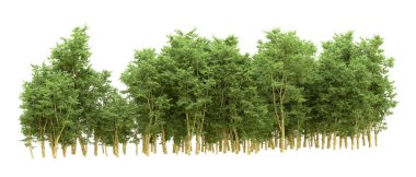 Yeşil orman ıssız. Afişler ve afişler için kullanışlı. 3d oluşturma.