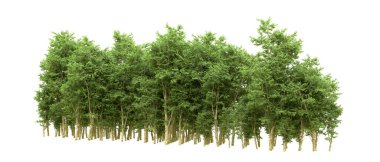 Yeşil orman ıssız. Afişler ve afişler için kullanışlı. 3d oluşturma.