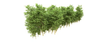 Yeşil orman ıssız. Afişler ve afişler için kullanışlı. 3d oluşturma.