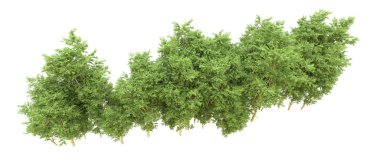 Yeşil orman ıssız. Afişler ve afişler için kullanışlı. 3d oluşturma.