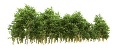 Yeşil orman ıssız. Afişler ve afişler için kullanışlı. 3d oluşturma.