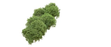 Yeşil orman ıssız. Afişler ve afişler için kullanışlı. 3d oluşturma.