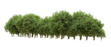 Yeşil orman ıssız. Afişler ve afişler için kullanışlı. 3d oluşturma.