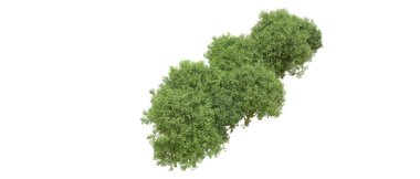 Yeşil orman ıssız. Afişler ve afişler için kullanışlı. 3d oluşturma.