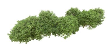 Yeşil orman ıssız. Afişler ve afişler için kullanışlı. 3d oluşturma.