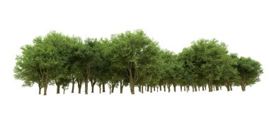 Yeşil orman ıssız. Afişler ve afişler için kullanışlı. 3d oluşturma.