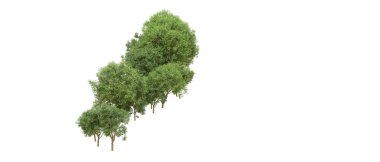 Yeşil orman ıssız. Afişler ve afişler için kullanışlı. 3d oluşturma.