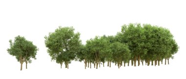 Yeşil orman ıssız. Afişler ve afişler için kullanışlı. 3d oluşturma.