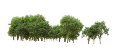 Yeşil orman ıssız. Afişler ve afişler için kullanışlı. 3d oluşturma.