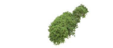 Yeşil orman ıssız. Afişler ve afişler için kullanışlı. 3d oluşturma.